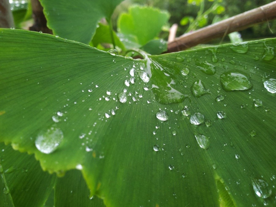 environmental friendly Sarasota Plumbers